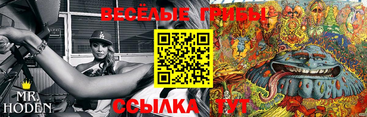 Псилоцибиновые грибы GOLDEN TEACHER  цена наркотик  Черкесск  Вход с VPN 
